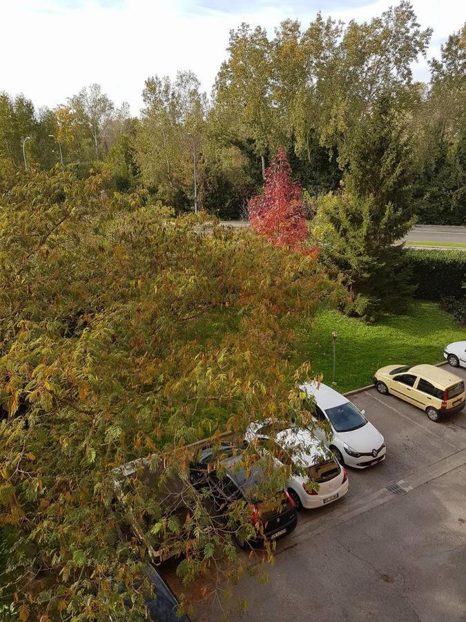 Cisanello Pisa Apartment Dış mekan fotoğraf
