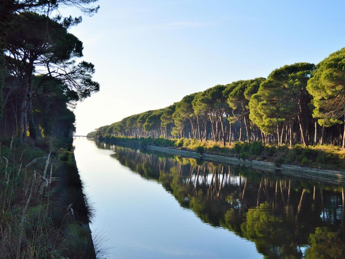 Cisanello Pisa Apartment Dış mekan fotoğraf